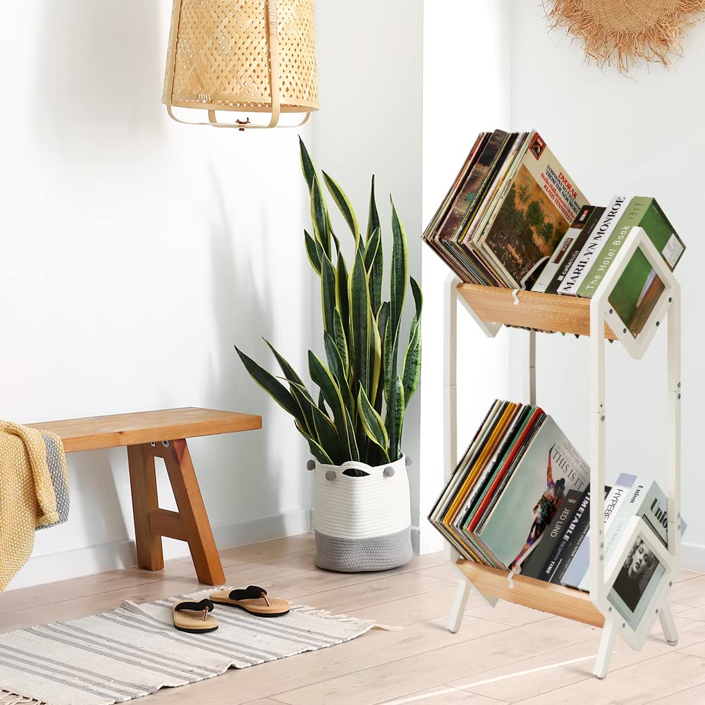 Hadulcet Vintage Oak Double-Layer Vinyl Record Storage Rack